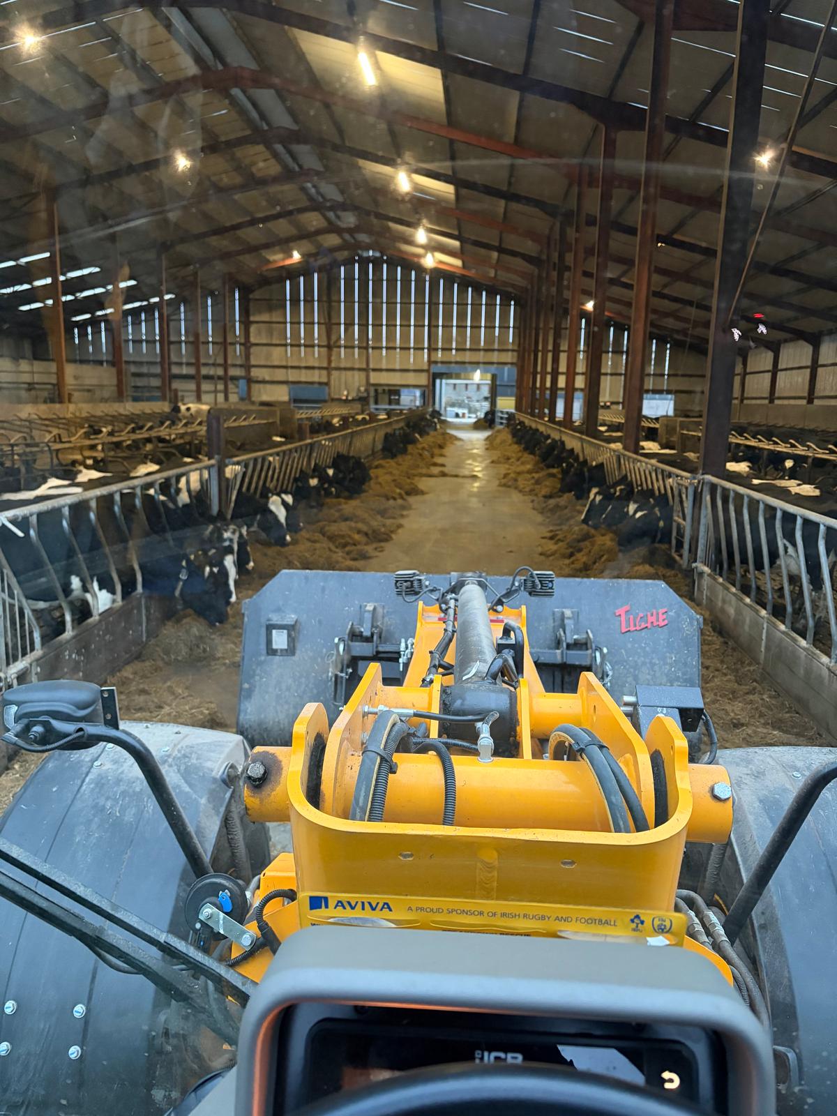 View from tractor cab feeding cows inside housing shed