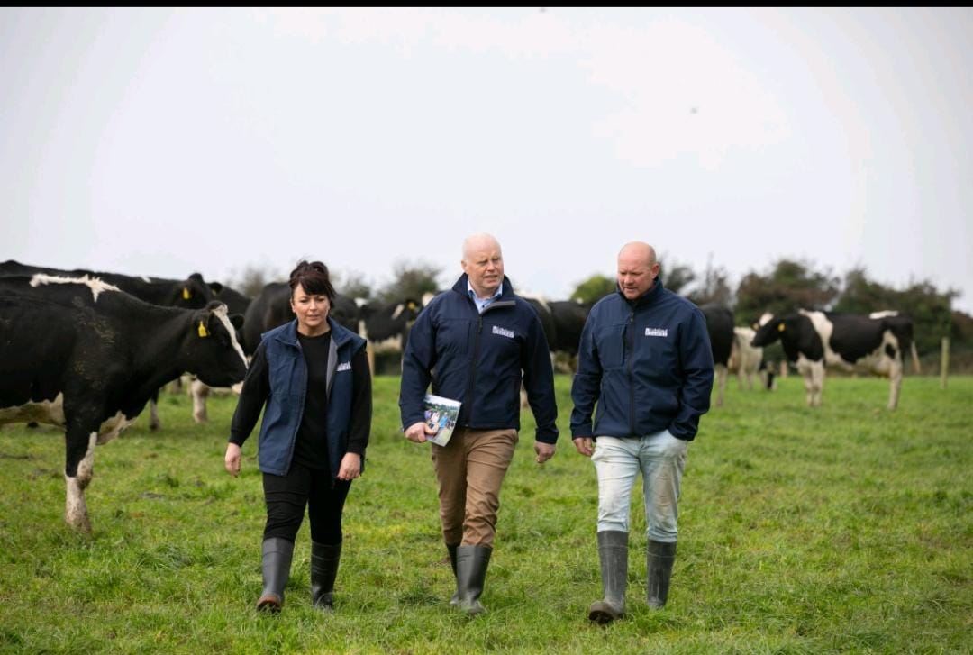 Niall Matthews walking through pasture with herd