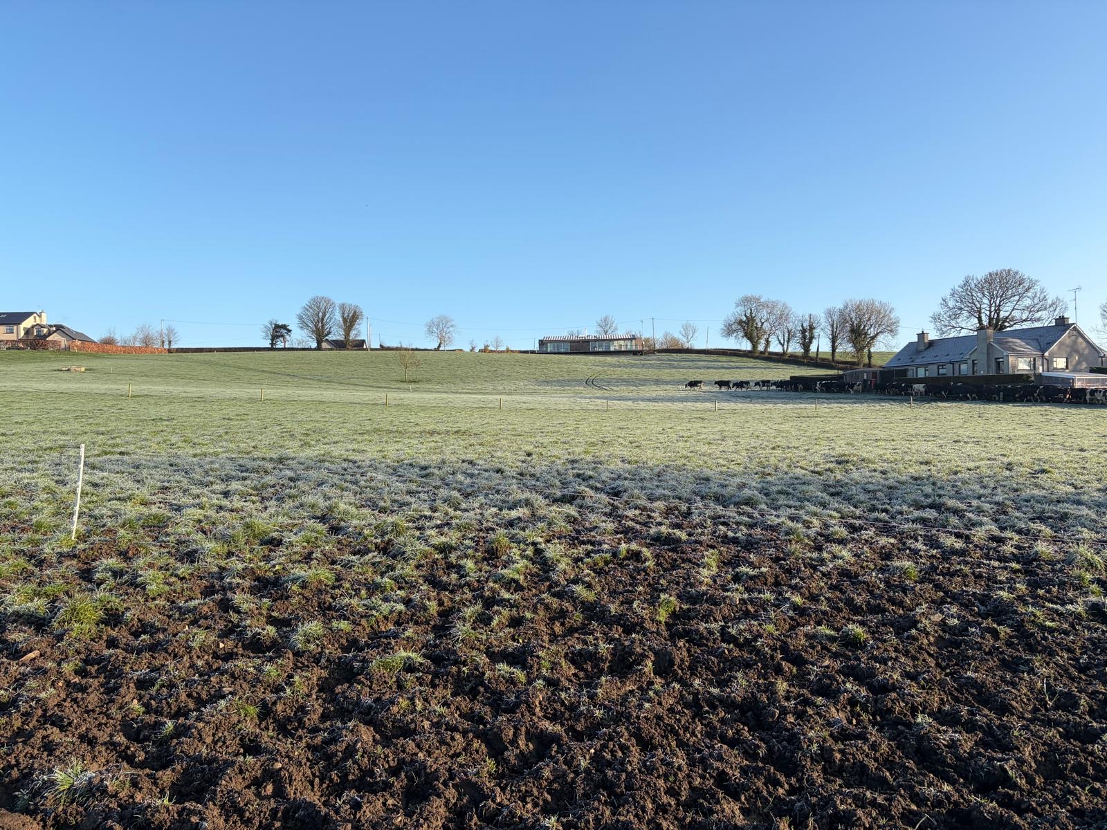 Frost on the fields at Tully on a clear winter morning, farm buildings in the distance