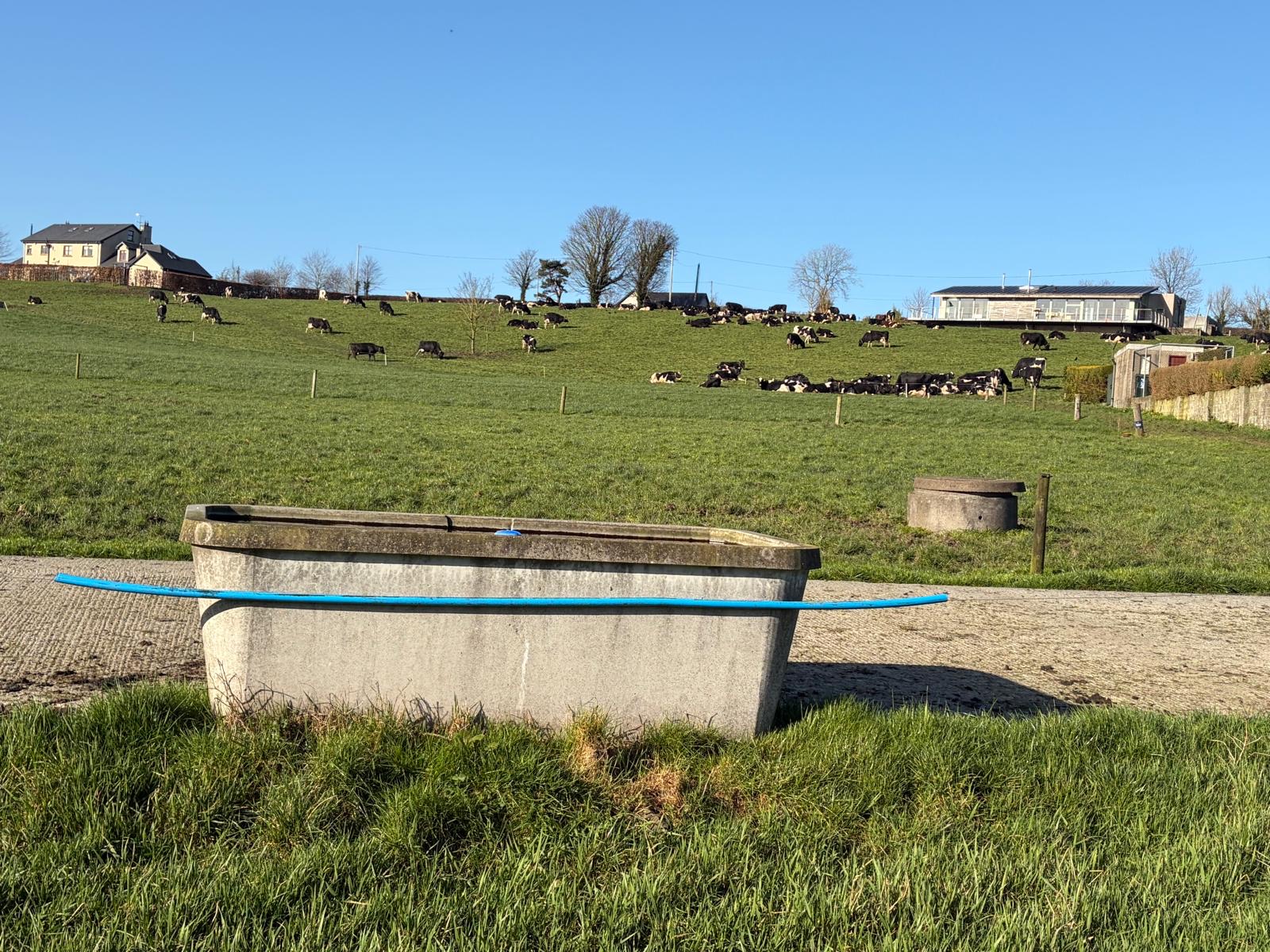 Water trough on pasture with cows grazing beyond